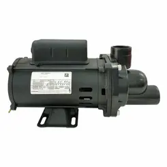 Bomba Hidromassagem Dancor HAD-W7C 0,75CV 110/220V Mono