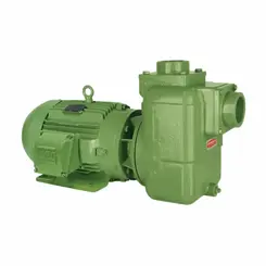 Bomba Auto Escorvante Schneider BCA-41 10,0CV 4V Tri