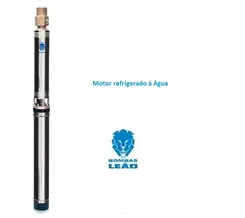 Bomba Palito Leão 4R8PB-12 3,5CV 220V Monofásica