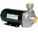 Bomba Dancor CAM-W21 3,0CV 220/380V Trifásica