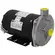 Bomba Dancor CAM-W6 1,0CV 127/220V Monofásica