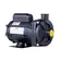 Bomba Dancor CP-4R 0,50CV 220/380V Trifásica