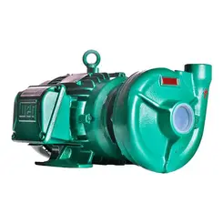 Bomba Thebe THS-18 7,5CV 220/440V Monofásica