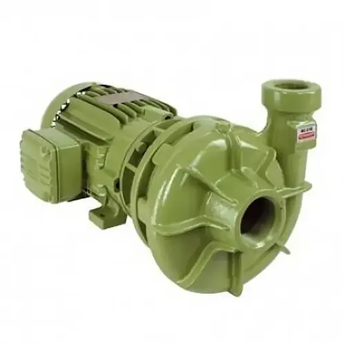Bomba Schneider BC-21R 2" 5,0CV 220/440V Monofásica