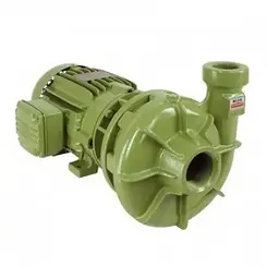 Bomba Schneider BC-21R 2" 5,0CV 220/440V Monofásica