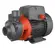 Bomba Periférica Lepono APm75 1,0CV 220V Monofásica